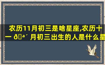 农历11月初三是啥星座,农历十一 🪴 月初三出生的人是什么星座
